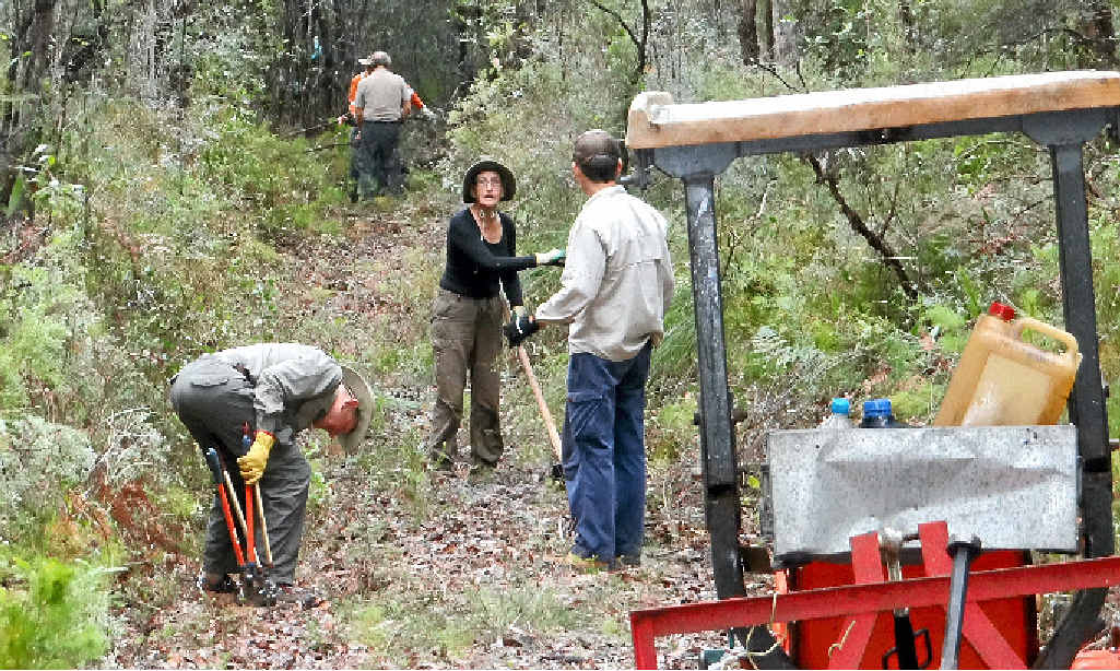 ON TRACK: Volunteers work on the George Haddock Track on Fraser Island. ON TRACK: Volunteers work on the George Haddock Track on Fraser Island.